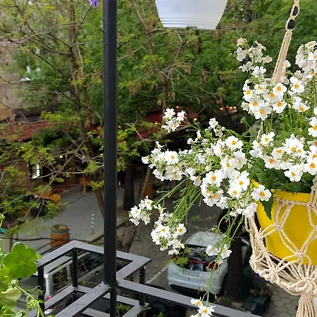 Apartment Bijoux In The Heart Of