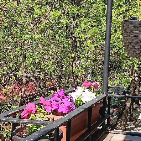 Bijoux In The Heart Of Апартамент