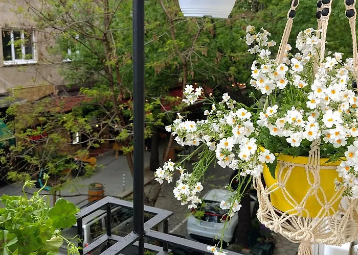 Appartement Bijoux In The Heart Of